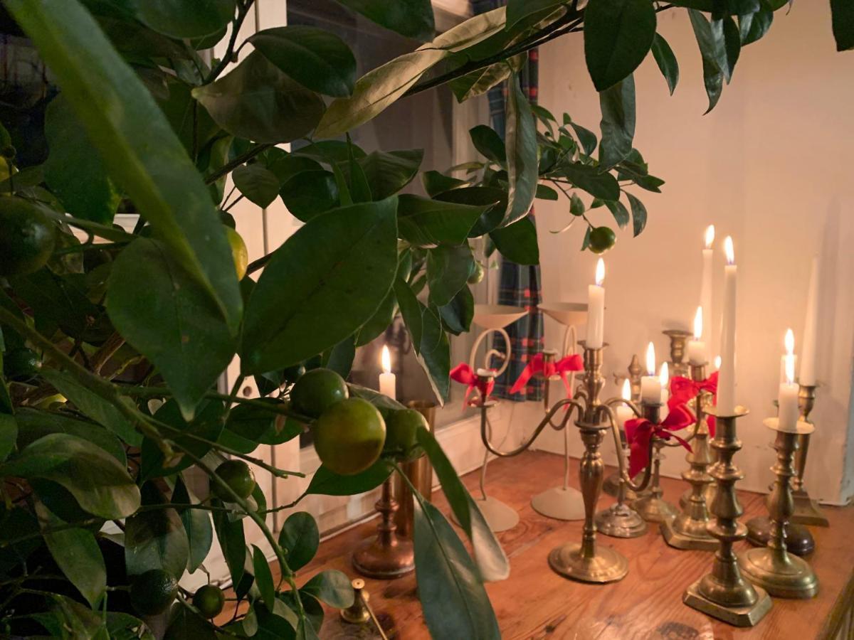 Balta Maja Hotel Pilsrundāle Kültér fotó