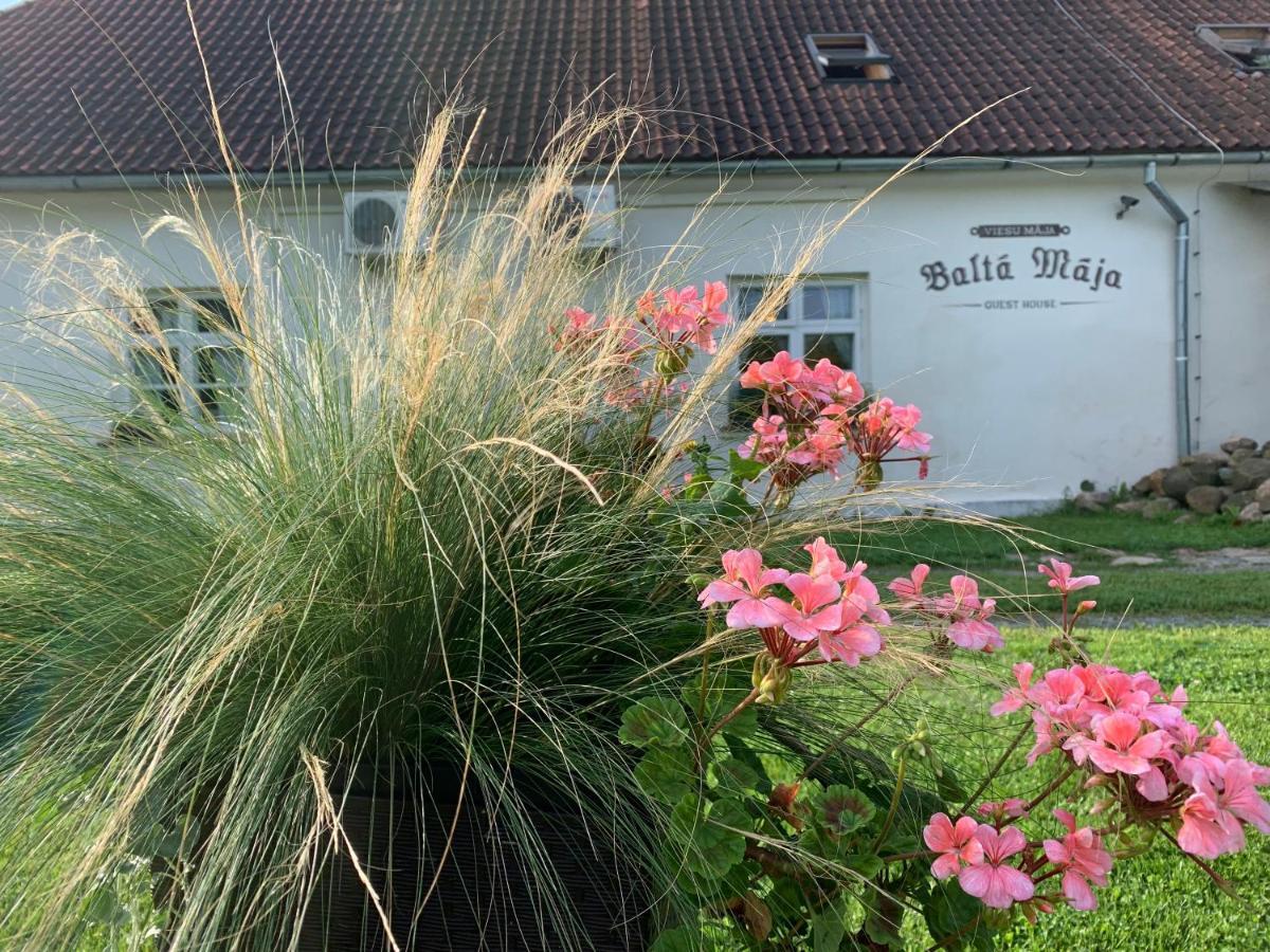 Balta Maja Hotel Pilsrundāle Kültér fotó
